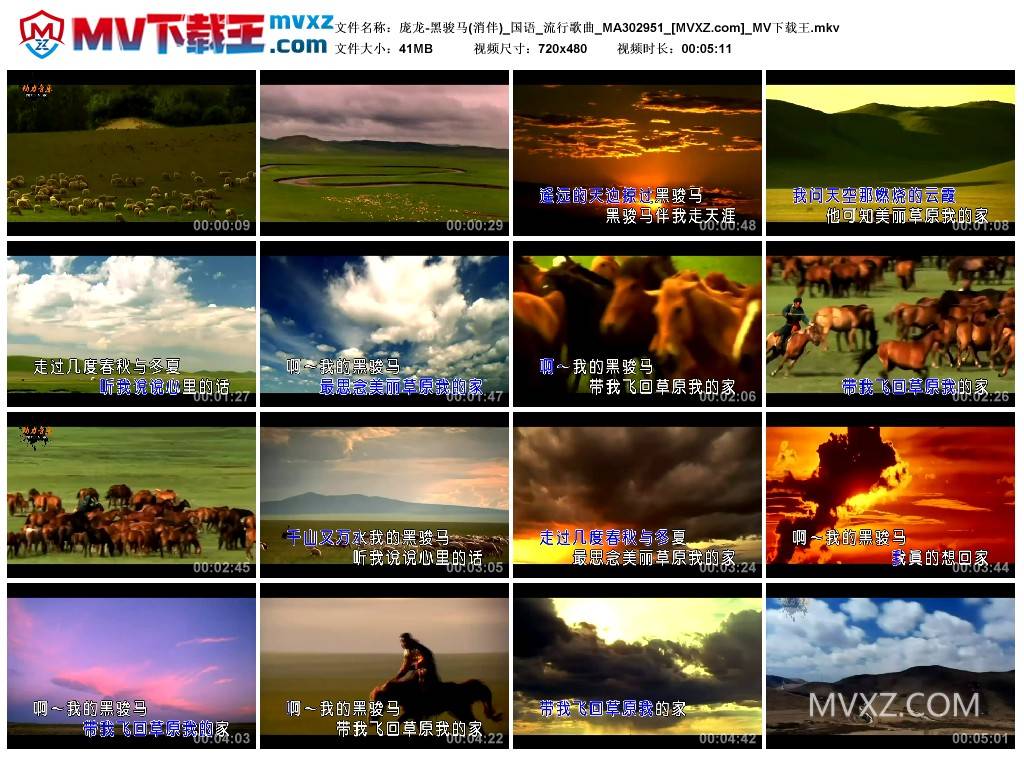 庞龙-黑骏马(消伴)_国语_流行歌曲_MA302951